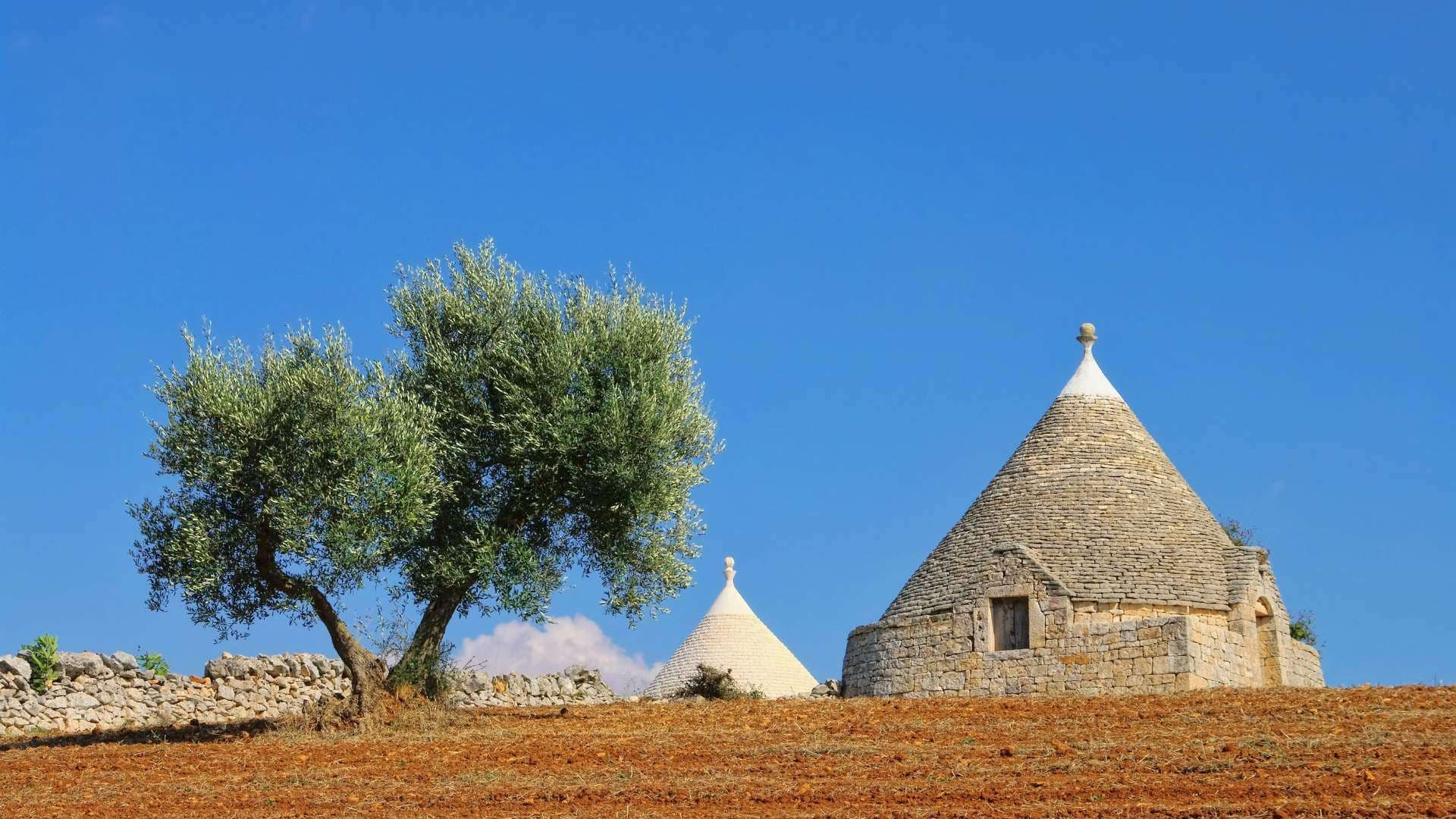 panoramic view of Valle d’Itria countryside with trulli, olive groves, and dry-stone walls